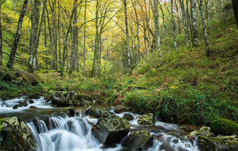 La Ruta del Agua: Esquíos – Mazonovo – Teixois